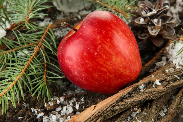 Roter Apfel auf Rinde im Schnee hautnah