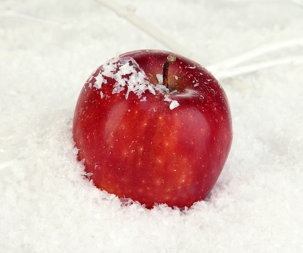 Roter Apfel im Schnee