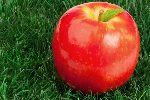 Roter Apfel und sein Blatt auf Gras