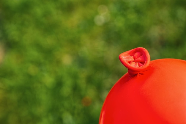 Roter Ballonknoten vor grünem Hintergrund, Copyspace für Ihren individuellen Text.