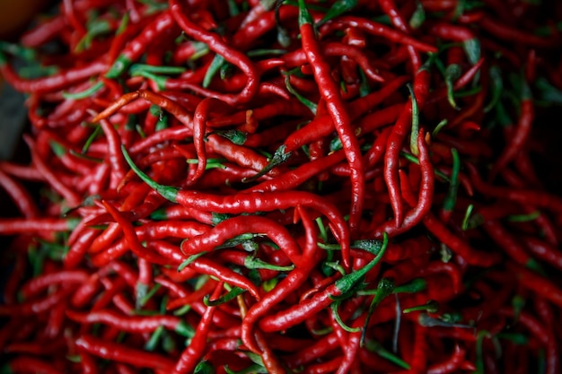 Roter Chili auf einem asiatischen Markt