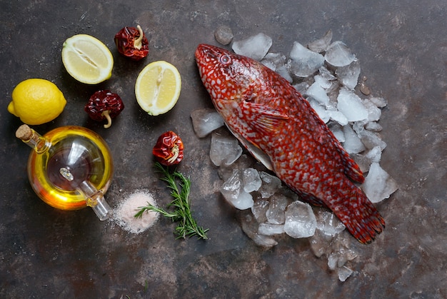 Roter Fisch, Ballan Lippfisch roh frisch kochfertig, Draufsicht, Olivenöl, Gewürze