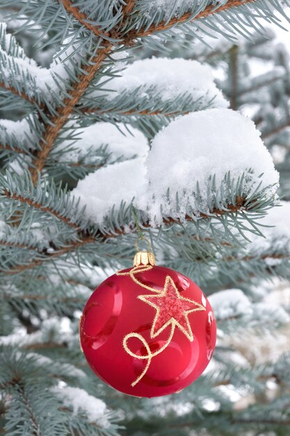 Roter Flitter hängt vom Weihnachtsbaum draußen