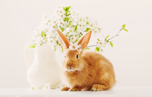 Roter Hase mit Frühlingsblumen auf weißem Hintergrund