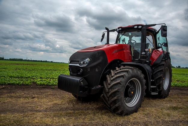 roter leistungsfähiger Traktor in der Nähe eines Feldes mit jungen Rüben Landwirtschaft Vorbereitung für die Saison