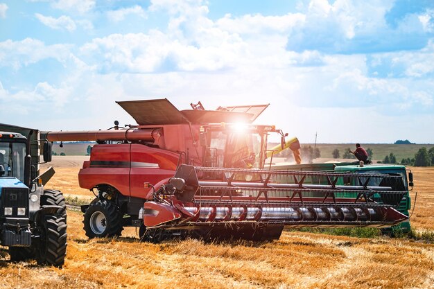 Roter Mähdrescher, der in der Herbstsaison auf Maisfeldern arbeitet Landwirtschaftliches Konzept