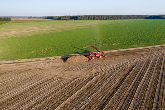 Roter Mähdrescher entfernt Rüben aus der Feldansicht