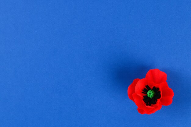 Roter Mohn Anzac-Papiertag, Erinnerung, erinnern sich, Memorial Day-Krepppapier auf blauem Hintergrund.