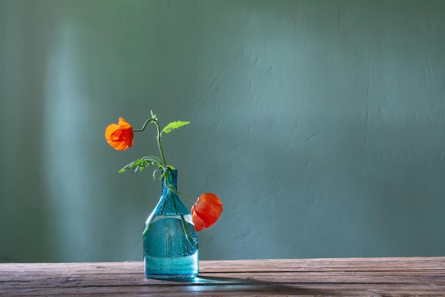 Roter Mohn in Glasflasche auf grünem Hintergrund