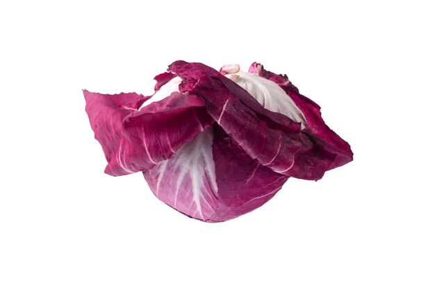 Roter Radicchio isoliert