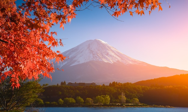 roter Rahmen aus Ahornblatt und mt.Fuji