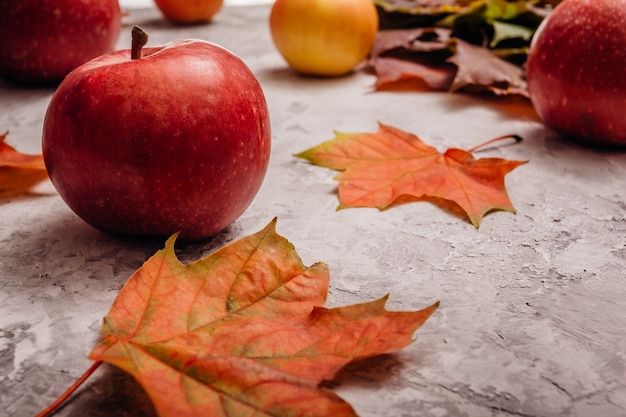 Roter reifer Apfel mit Ahornblättern