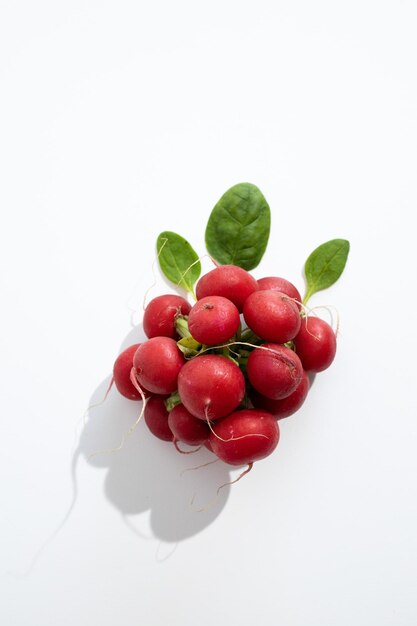 Roter Rettich auf weißem Hintergrund mit Schatten Gesunde Ernährung Vegetarische Kost