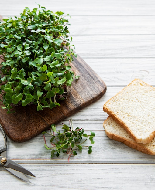 Roter Rettich Microgreens auf einem hölzernen Schneidebrett und Brot, gesundes Konzept