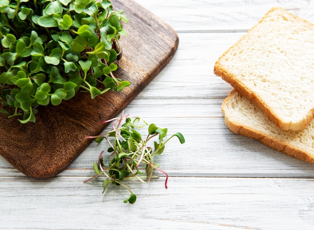 Roter Rettich Microgreens und Brot