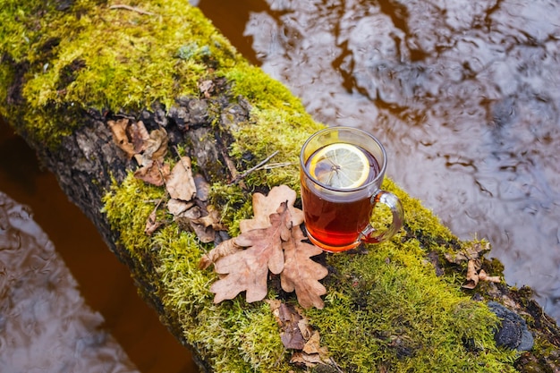 Roter Tee mit Zitrone in einem Glaskrug auf die Natur Auf einem Baum mit Moos über einem Fluss