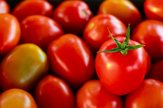 roter Tomatenhintergrund