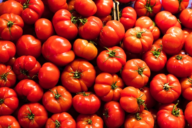 Roter Tomatenstapel der Draufsicht