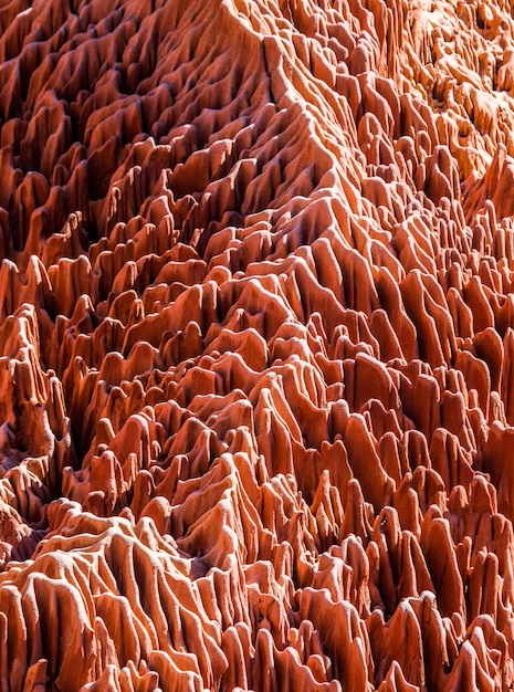 Roter Tsingy. Typische Landschaft. Madagaskar.