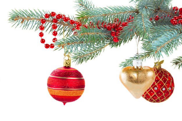 Roter und goldener Weihnachtsschmuck auf immergrünem Tannenzweig isoliert auf weißem Hintergrund