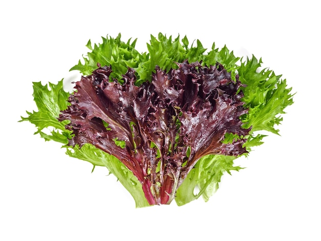 roter und grüner Salat auf weißem Hintergrund