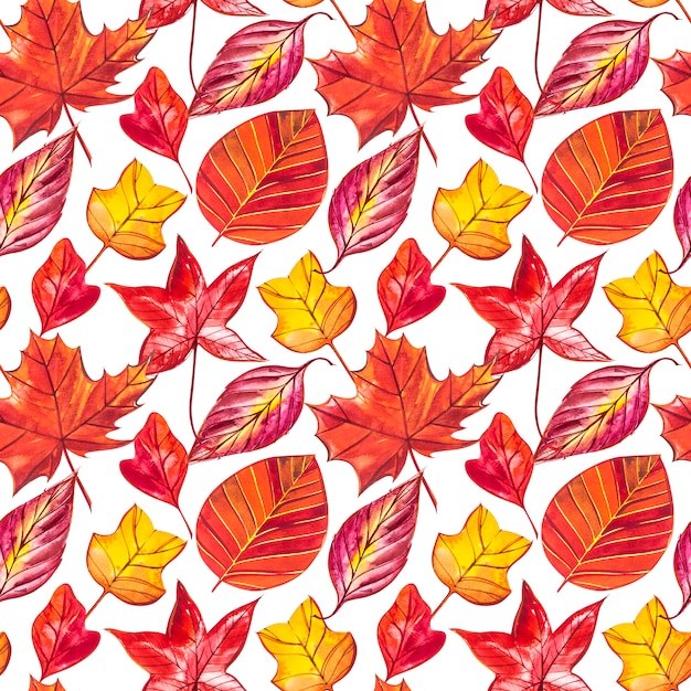 Roter und orange Herbstlaub Hintergrund. Nahtlose Musterillustration des Aquarells.