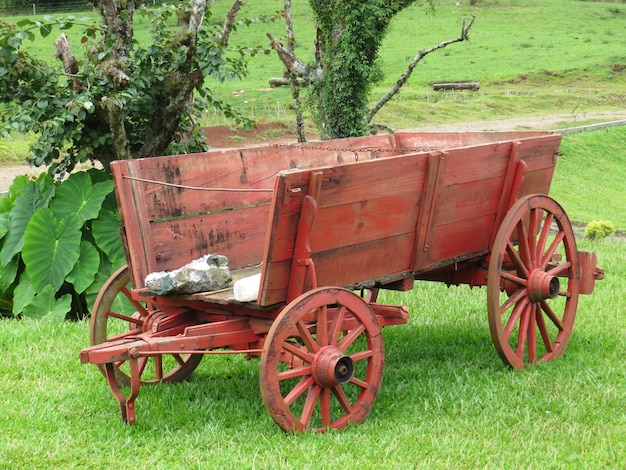 Foto roter wagen im grünen feld