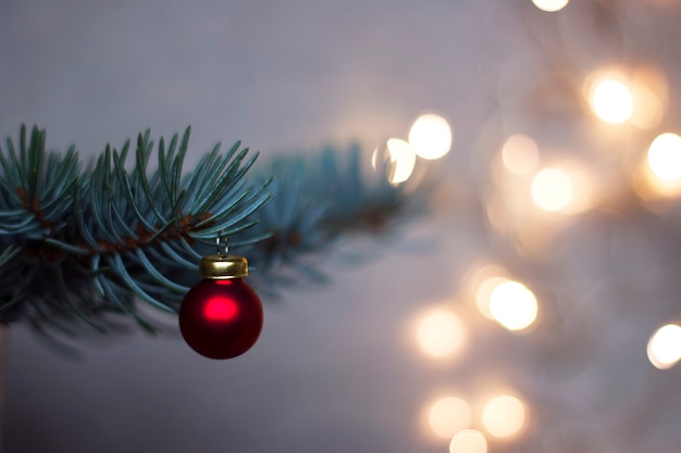 Roter Weihnachtsball auf dem blauen Fichtenzweig mit glitzernden, unscharfen Lichtern im Hintergrund