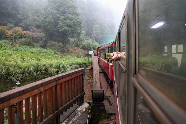 Roter Zug fährt am nebligen Tag am Berg Alishan, Taiwan.