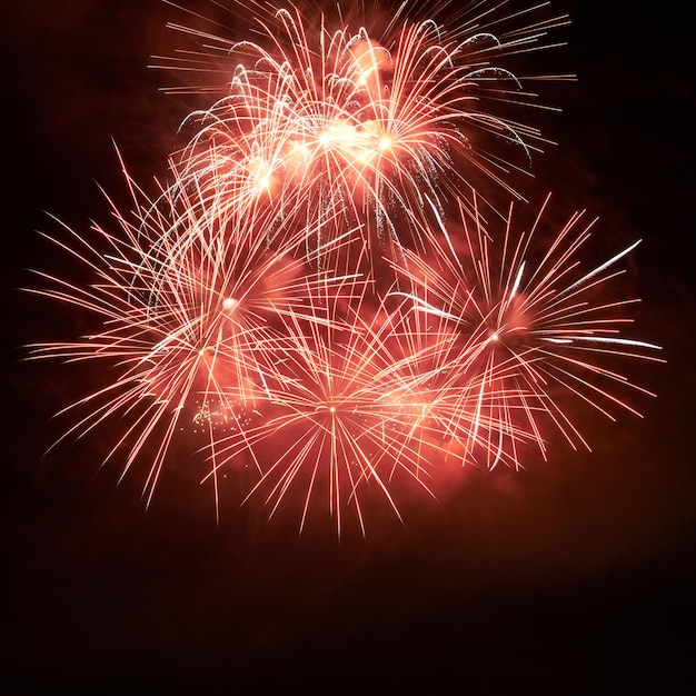 Rotes buntes Feuerwerk auf dem schwarzen Himmelhintergrund.