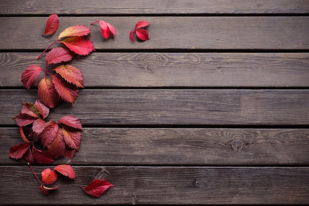Rotes Herbstlaub auf altem hölzernem Hintergrund