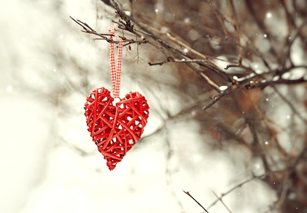 Rotes Herz auf einem Baumzweig am Valentinstag im Winter