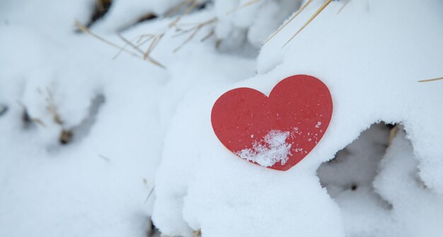 Rotes Herz auf schneefarbenem Hintergrund im Winter