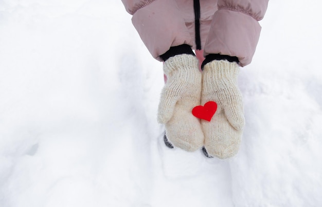 Rotes Herz liegt auf dem frischen Fäustlinge Winterschnee die Frau wagt in ihren Handflächen eine kleine rote Herznahaufnahme
