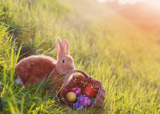 Rotes Kaninchen mit Ostern auf grünem Gras