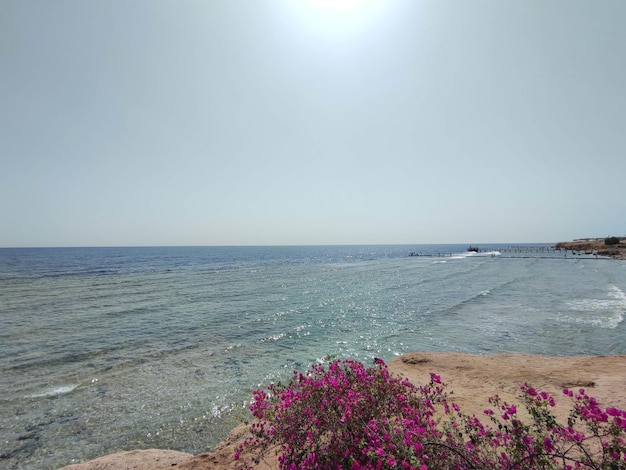 Rotes Meer in Ägypten natürlicher Hintergrund