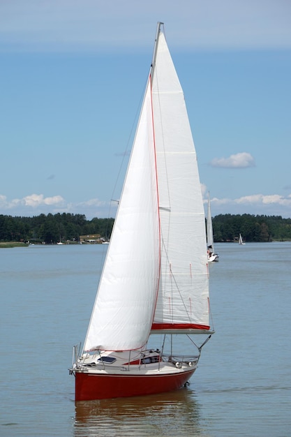 Rotes Segelboot, das auf Seebäumen am Ufer schwimmt