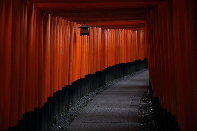 Rotes Tori-Tor am Fushimi Inari-Schrein in Kyoto, Japan