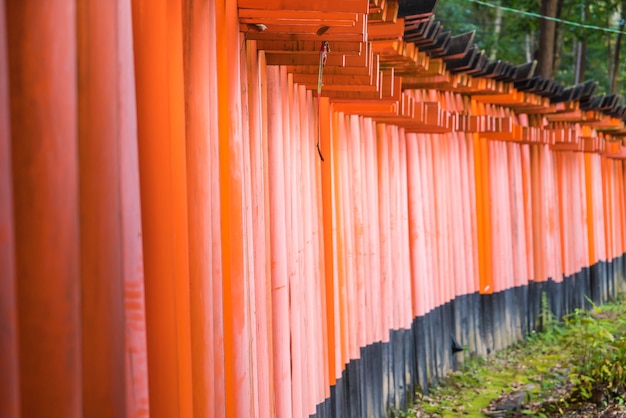 Rotes Tori-Tor an Schrein Fushimi Inari in Kyoto, Japan.