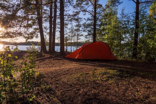 Rotes Zelt im Schatten großer Kiefern am See bei Sonnenuntergang Karelien Russland