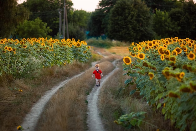 Rothaariger Junge, der auf einem Feld mit Sonnenblumen steht Heller Ort mit einem Kind Kopieren Sie Platz