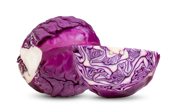 Rotkohl isoliert auf weißem Hintergrund