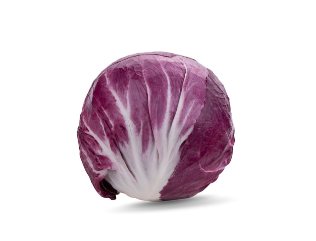 Rotkohl isoliert auf weißem Hintergrund