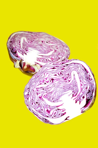 Rotkohl vor rosa Hintergrund