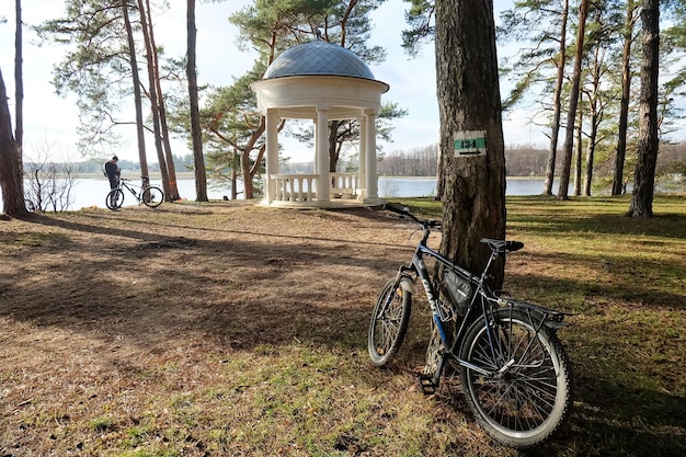 Rotonda en el bosque en la orilla del lago bicicleta