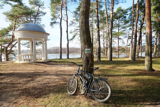 Foto rotonda en el bosque en la orilla del lago bicicleta