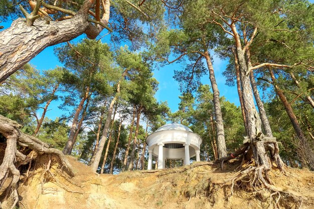 Rotonda en el bosque a la orilla del lago