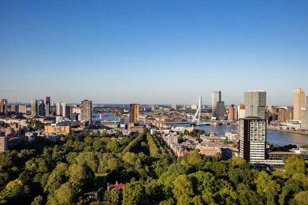 Rotterdam Niederlande Stadtbild und Erasmusbrücke Luftaufnahme vom sonnigen Tag des Euromast-Turms