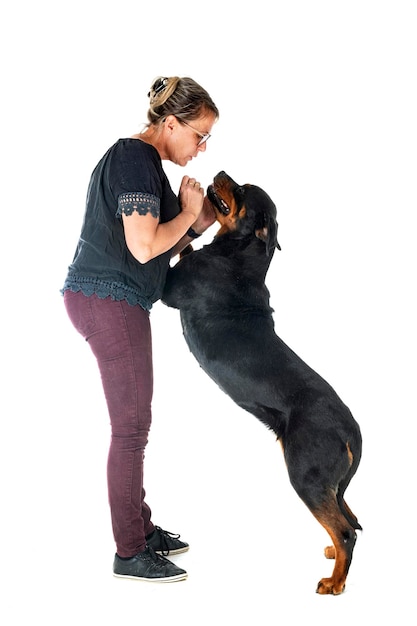 Rottweiler de raça pura e mulher em frente a um fundo branco