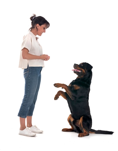 Rottweiler und Frau im Studio im Studio